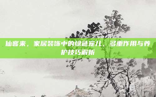 仙客来，家居装饰中的绿色宠儿，多重作用与养护技巧解析