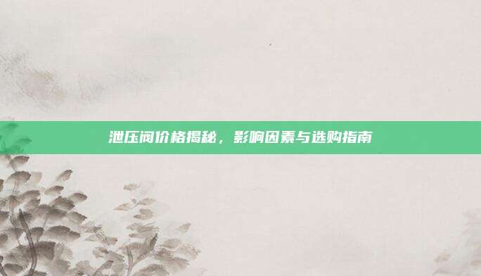 泄压阀价格揭秘，影响因素与选购指南