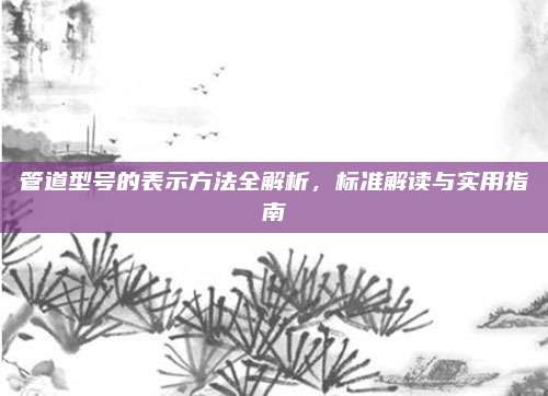 管道型号的表示方法全解析，标准解读与实用指南