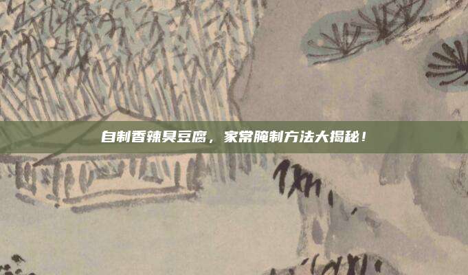 自制香辣臭豆腐，家常腌制方法大揭秘！
