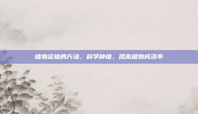 植物定植的方法，科学种植，提高植物成活率
