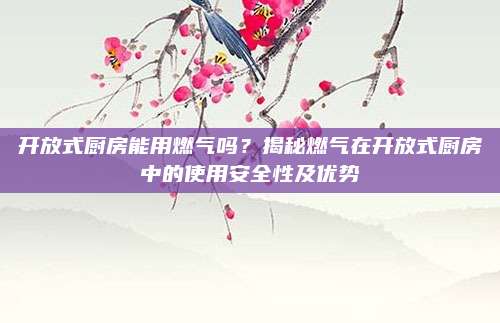 开放式厨房能用燃气吗？揭秘燃气在开放式厨房中的使用安全性及优势