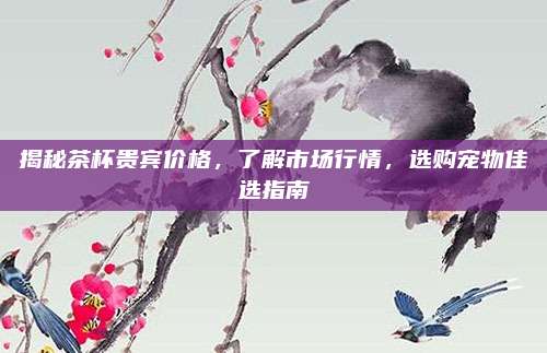 揭秘茶杯贵宾价格，了解市场行情，选购宠物佳选指南