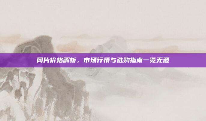 网片价格解析，市场行情与选购指南一览无遗