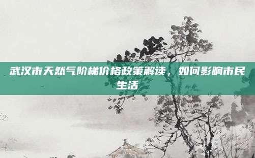 武汉市天然气阶梯价格政策解读，如何影响市民生活