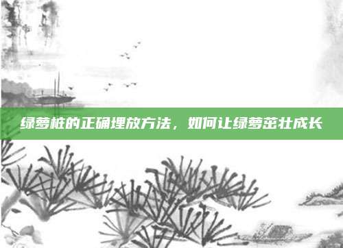 绿萝桩的正确埋放方法，如何让绿萝茁壮成长