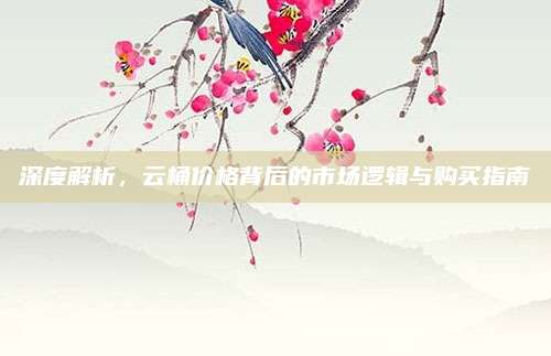 深度解析，云桶价格背后的市场逻辑与购买指南
