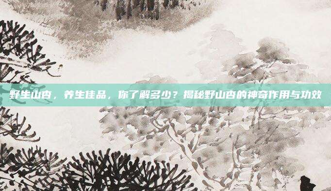 野生山杏，养生佳品，你了解多少？揭秘野山杏的神奇作用与功效