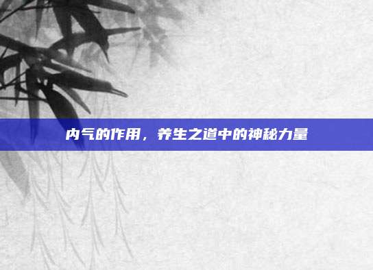 内气的作用，养生之道中的神秘力量