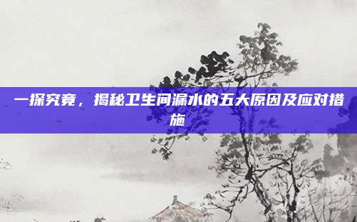 一探究竟，揭秘卫生间漏水的五大原因及应对措施