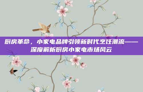 厨房革命，小家电品牌引领新时代烹饪潮流——深度解析厨房小家电市场风云