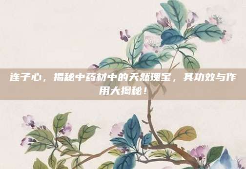 连子心，揭秘中药材中的天然瑰宝，其功效与作用大揭秘！
