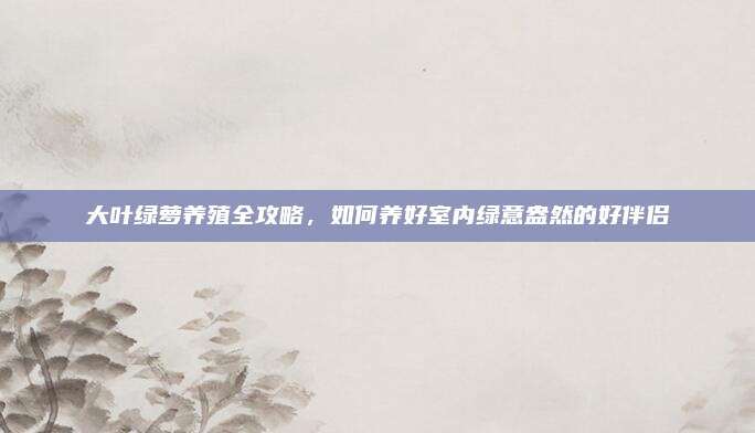 大叶绿萝养殖全攻略，如何养好室内绿意盎然的好伴侣