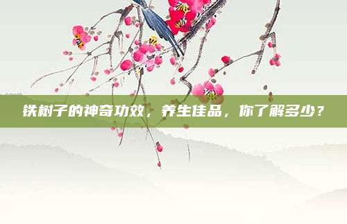 铁树子的神奇功效，养生佳品，你了解多少？