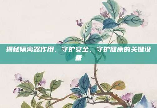 揭秘隔离器作用，守护安全，守护健康的关键设备