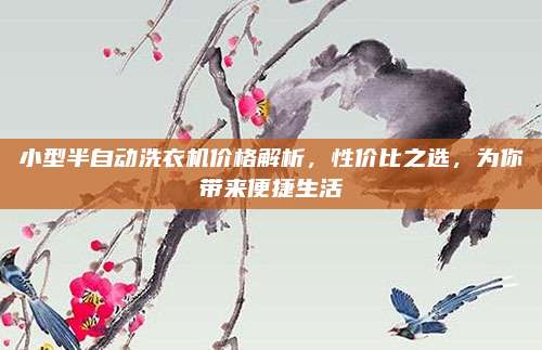 小型半自动洗衣机价格解析，性价比之选，为你带来便捷生活