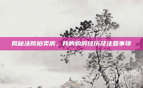 揭秘法院拍卖房，我的购房经历及注意事项