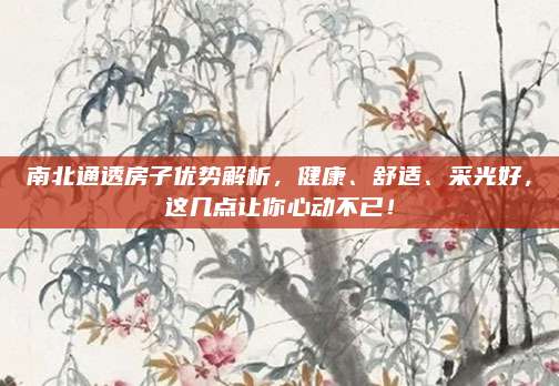 南北通透房子优势解析，健康、舒适、采光好，这几点让你心动不已！
