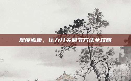 深度解析，压力开关调节方法全攻略