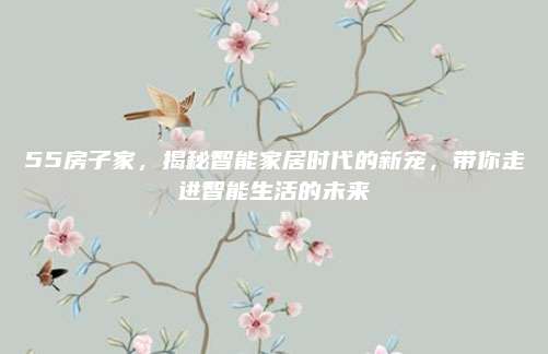55房子家，揭秘智能家居时代的新宠，带你走进智能生活的未来