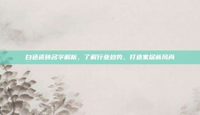 白色瓷砖名字解析，了解行业趋势，打造家居新风尚