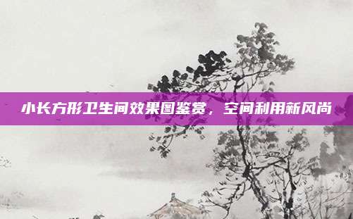 小长方形卫生间效果图鉴赏，空间利用新风尚