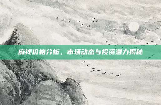 麻钱价格分析，市场动态与投资潜力揭秘