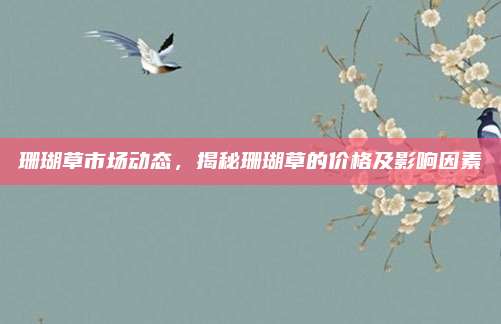 珊瑚草市场动态，揭秘珊瑚草的价格及影响因素