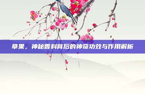 草果，神秘香料背后的神奇功效与作用解析