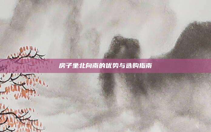 房子坐北向南的优势与选购指南