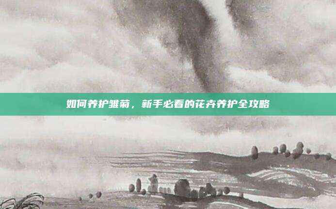 如何养护雏菊，新手必看的花卉养护全攻略