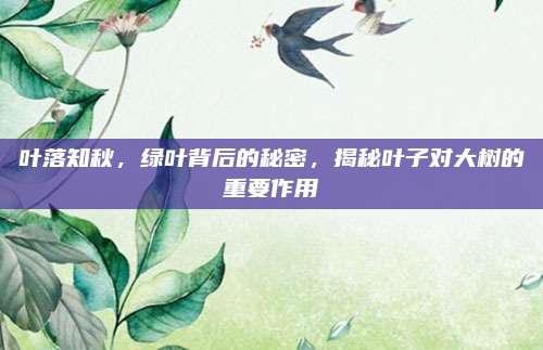 叶落知秋，绿叶背后的秘密，揭秘叶子对大树的重要作用