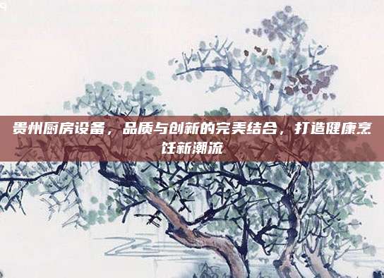 贵州厨房设备，品质与创新的完美结合，打造健康烹饪新潮流